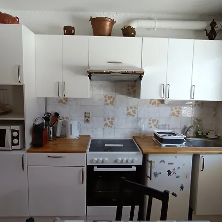アパート 2 Chambres, 4 Pers, Terrasse, Animaux Acceptes, Proche Pistes Et Commerces - - Fr-1-445-80 モンジェネヴル